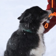 【日々の暮らし】オセロ撮影とこだわりと！