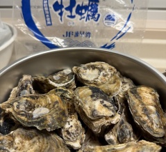 今年も小長井牡蠣は旨か〜っ！「諫早湾漁協 小長井直売店」（諫早市小長井町）