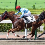 『3歳馬2頭が勝利！』の画像