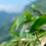 『ネットワークの形成』の画像