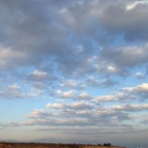 やすらぎの小部屋　『おやゆび太郎』