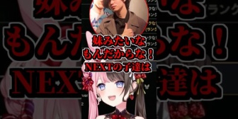 【ぶいすぽ】「妹みたいなもん」を必死に止めるひなーのｗｗｗ