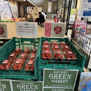 「キングカズ(プロフ要確認) Yahoo!オークション - 同梱可 テレカ 50度 三浦知良 キングカズ デカ