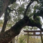 大阪の歴女と歴犬