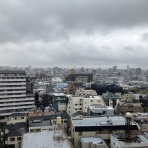 おてんば88歳・・日々録