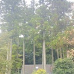 名古屋市 北区 ペットショップ ワンラブ NEWクロスタウン店ブログ