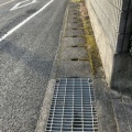■ミニコラム～歩きへんろの大敵（1）