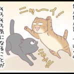 ネコ飼いの飼いネコまんが ねこボイ