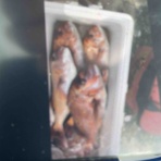 みなもと渡船のオフィシャルblog