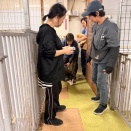 今日のアイビーちゃん通信です。💓💓💓