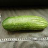 『ブログガイダンス（38）』の画像