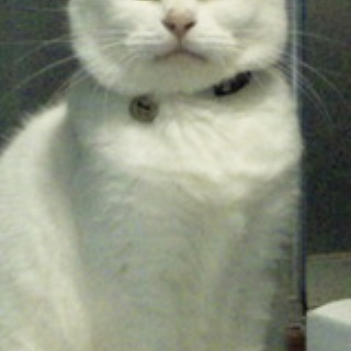 なかてまゆうけんの野望と希望の間ｂｌｏｇ