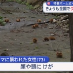 2chコピペ保存道場