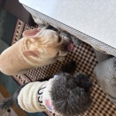 3月19日のお友達❤️