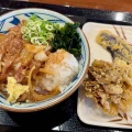 たまにはぶっかけ　丸亀製麺ニトリ成増