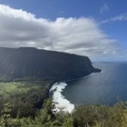 『ミツバチ。過ぎ世現世紡ぐ糸MM570』の画像