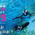 中村元の超水族館大阪ナイト4　どこまでが水族館なのか？