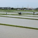 市原市に憲法と地方自治を活かす会