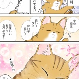 猫の悪夢