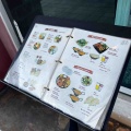 韓国地方旅行 デジョン旅⑩　インド料理専門店『インディ　本店（ドゥンサン）』本格インド料理 인디 본점 둔산점