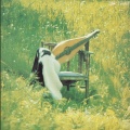 Dulcimer ／ LILY