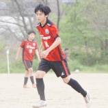 『クラッキフォト20250420』の画像