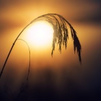 Soul Bar Southern Winds