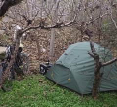 勝手に最高ランクとか決めないで欲しい