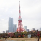 芝公園、紅葉谷のモモジなど