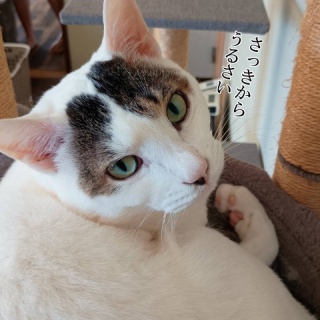 moroのハンドメイド