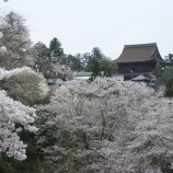 『奈良・吉野のお花見ツアーで立ち寄ったカフェ～【花蔵（かぐら）】』の画像
