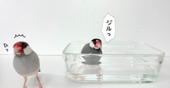先輩からのアドバイス