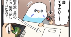 ちいこきお客さんの恩返し