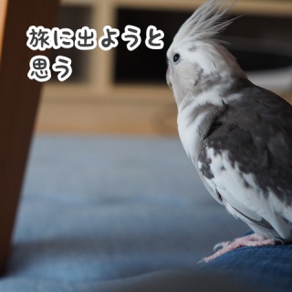 NEW!ユニブログ