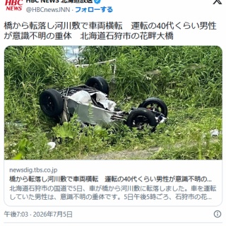 痛いニュース(ﾉ∀`)