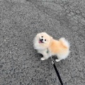 ミルクちゃん♪
