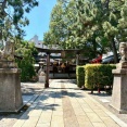 一夜限りの夏祭り！境内にテントサウナが出現？！『安江八幡宮・金沢水天宮』で『水天宮祭』開催。8月3日。
