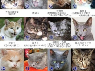 元ヤクザだけど質問ある？