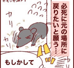 勝手もいいところ。ネズミの気持ちを考える系オカンの話
