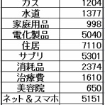 下流のお一人様家計簿blog☆彡