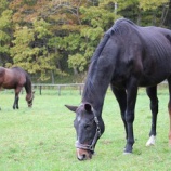 『寒暖差アレルギー』の画像