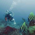 水先案内人の徒然日記