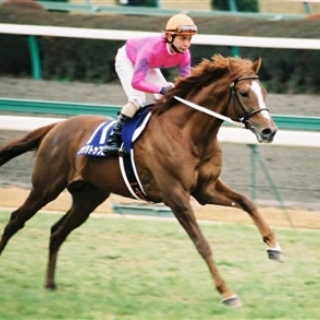 ☆うまなみ・競馬にゅーす速報