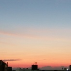 家族の間で土下座ってあり？　