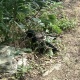 ワイ 通勤中に体調を崩し公園で休憩