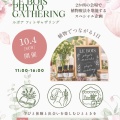 中目黒マルシェに出店します｜植物療法と花を楽しむ秋の一日