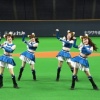 ファイターズガールのきつねダンスなんでこんなに流行ってるん？