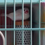 新しい家族がやって来た♪