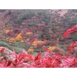 『紅葉を楽しめた磐梯山&安達太良山』の画像