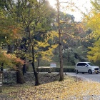 『神山森林公園＆ひーちゃん（納豆巻き）』の画像